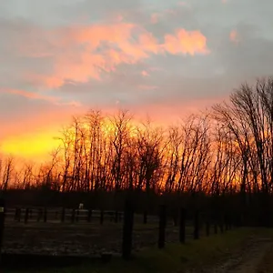 Jesson Rosamund Farm stay Cantu